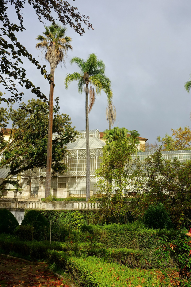 Ein üppiger grüner Park mit Bäumen, Pflanzen, Gras und zerkleinerten Blättern auf dem Boden, der eine Palme, ein Gebäude im Hintergrund und einen klaren blauen Himmel zeigt.