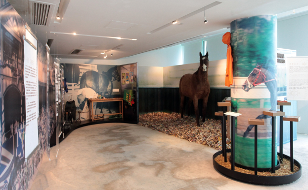 Ein Museumsausstellungsstück mit einem Pferdeexponat, umgeben von Informationsplakaten, einem Tisch mit Gegenst├Ąnden und Deckenbeleuchtung.