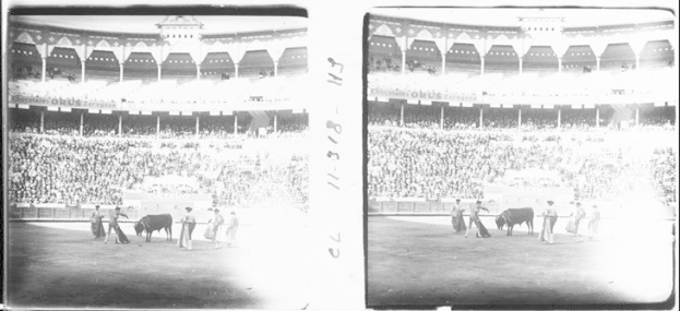 Schwarzes und weißes Foto eines Stierkampfs in einem Stadion mit Zuschauern auf den Rängen und Menschen in der Nähe von Tieren im Vordergrund.