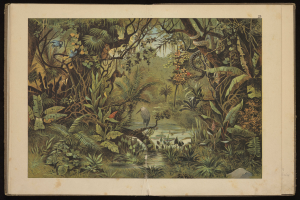 Ein aufgeschlagenes Buch mit einer Malerei einer üppigen Dschungelszene mit Bäumen, Pflanzen, Wasser, Vögeln und anderen Gegenständen auf schwarzem Hintergrund.