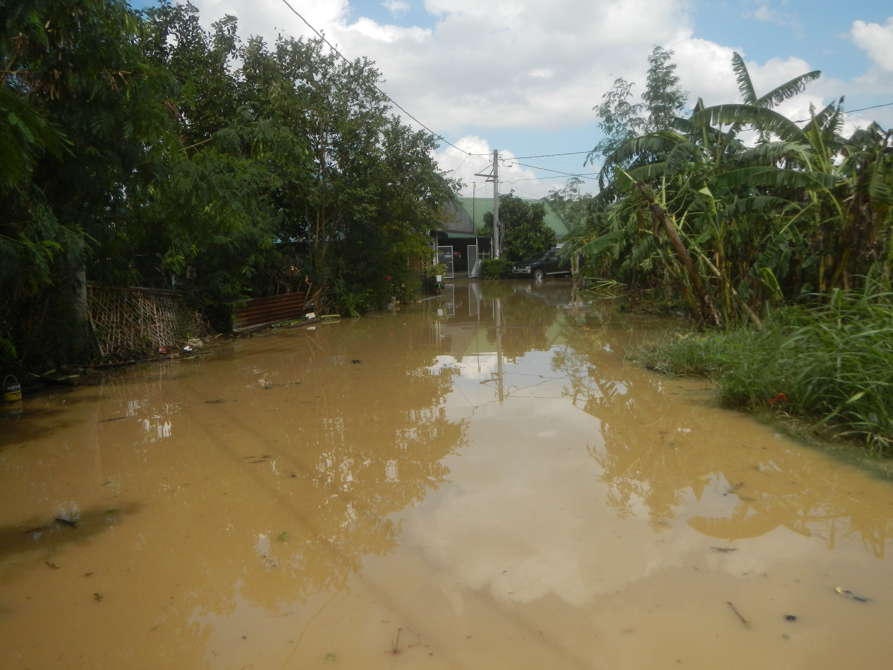 Flutende ländliche Straße mit Wasser, das die Straße bedeckt, umgeben von Pflanzen und Bäumen, ein Auto auf der rechten Seite und beschädigte Häuser, Pfähle und Drähte im Hintergrund unter einem bewölkten Himmel.