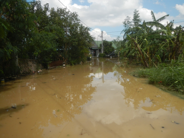 Flutende ländliche Straße mit Wasser, das die Straße bedeckt, umgeben von Pflanzen und Bäumen, ein Auto auf der rechten Seite und beschädigte Häuser, Pfähle und Drähte im Hintergrund unter einem bewölkten Himmel.
