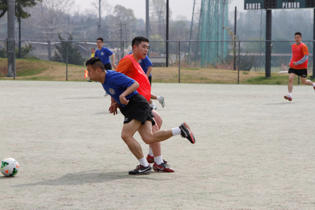 Spieler beim Fußballspielen auf einem von einem Maschendrahtzaun umgebenen Feld zu sehen, mit Bäumen, Leitern und Strommasten auf der anderen Seite.