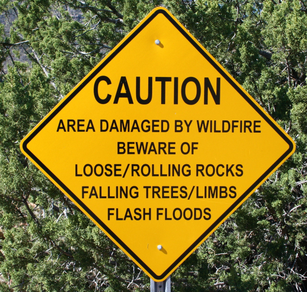 Gelbes Warnschild an einem Pfahl in der Vordergrund mit der Aufschrift "Vorsicht: Wildfire-Geschädigtes Gebiet - Achten Sie auf lockere rollende Steine, umstürzende Bäume, Äste, Flash Floods" mit Bäumen im Hintergrund.