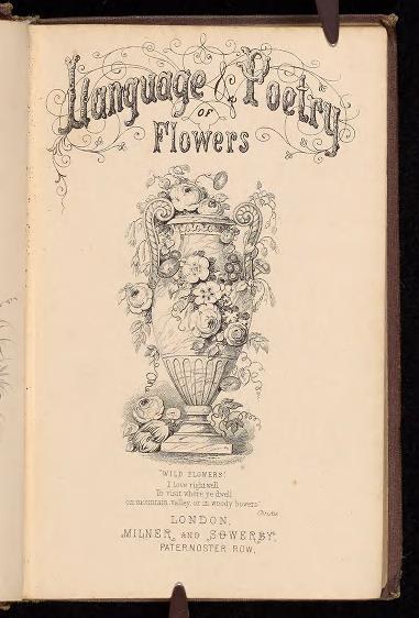 Offenes Buch mit dem Titel "Sprache und Dichtkunst der Blumen" von Milner und Sowerby (1867), das eine Vase-Illustration mit Blumen zeigt.