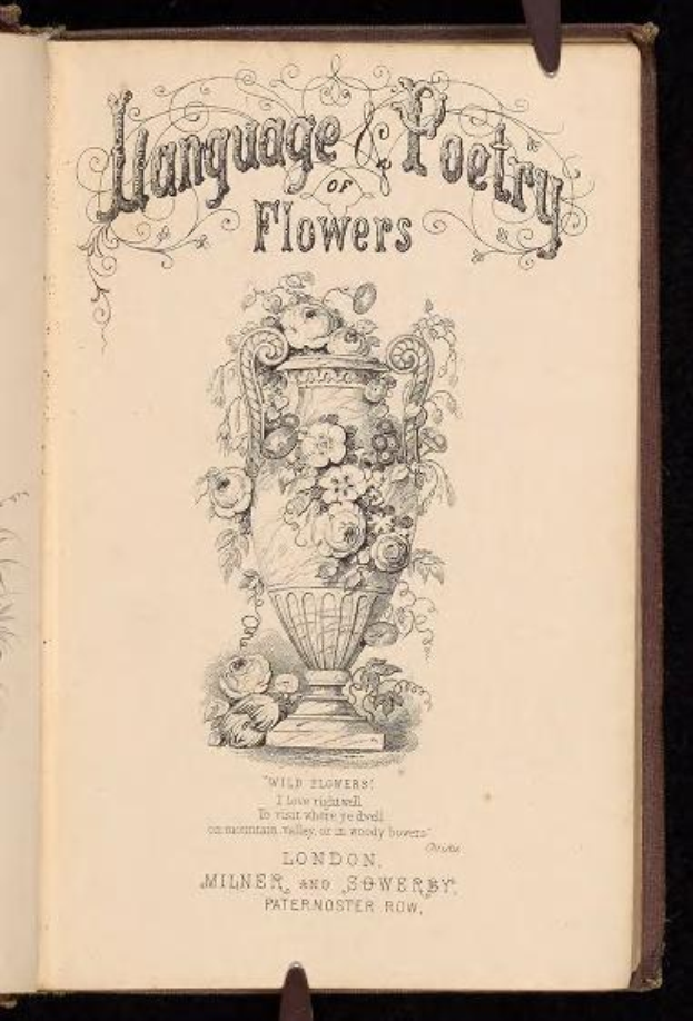 Offenes Buch mit dem Titel "Sprache und Dichtkunst der Blumen" von Milner und Sowerby (1867), das eine Vase-Illustration mit Blumen zeigt.