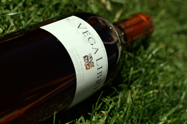 Eine Flasche mit roter Kappe wird auf grünem Gras platziert.