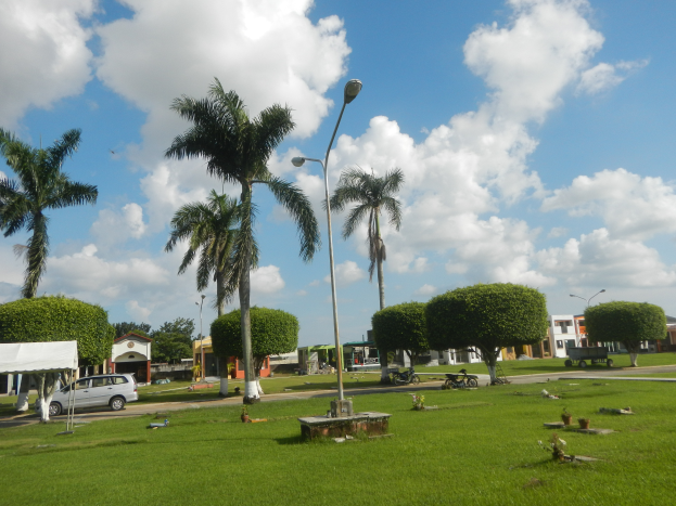 Ein Park mit grünem Gras, Palmen, Straßenlaternen, Autos, einem Schuppen, Gebäuden und einer bewölkten Himmel.