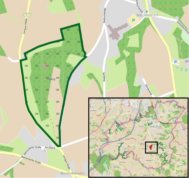 Eine detaillierte Karte einer Stadt mit einem grünen Bereich in der Mitte, wahrscheinlich ein geplanter Entwicklungsstandort, sowie umliegende Straßen, Gebäude und Sehenswürdigkeiten.