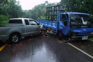 Ein geschädigter Lkw steht am Straßenrand umgeben von Bäumen unter einem klaren blauen Himmel, mit seiner eingedrückten Front und verbeulter Karosserie.