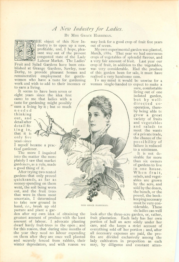 Offenes Buch mit einer Illustration eines Frauenkopfes auf der Seite, umgeben von Blättern und Früchten, mit der Aufschrift "Eine neue Branche für Damen".