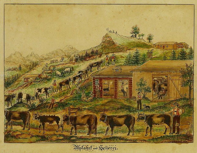 Rindfleischpreise sink erneut für Bauern - Döner bleibt teuer