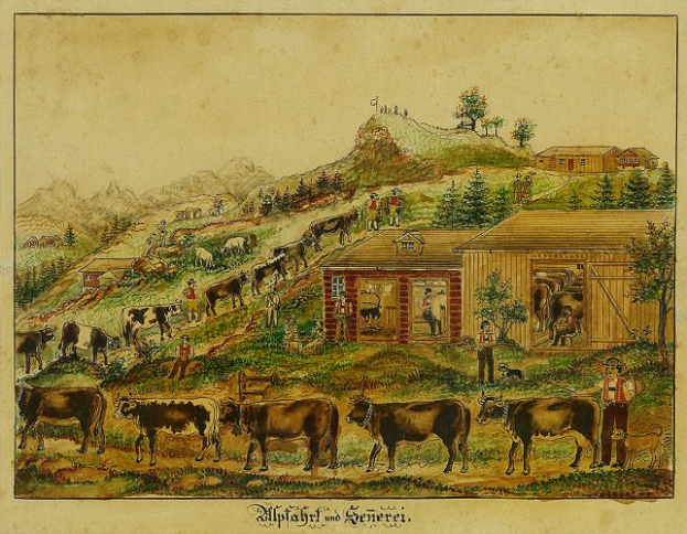 Rindfleischpreise sink erneut für Bauern - Döner bleibt teuer