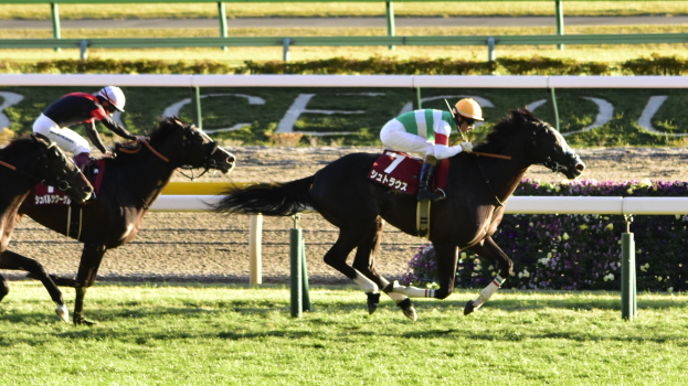 Zwei Jockeys mit Helmen auf Pferden, die eine Rennbahn entlanggaloppieren, umgeben von Grünflächen und einer Absperrung sowie einer Tafel im Hintergrund.