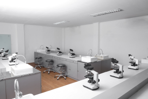 Ein Labor mit einer Reihe von Mikroskopen auf einer Theke, umgeben von Waschbecken, Wasserhähnen, Hockern, Schränken und einem Wandspiegel, beleuchtet von Deckenlampen.