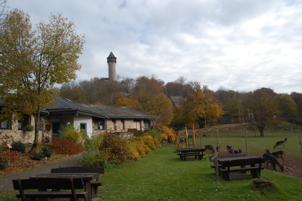 Ein Park mit Bänken, Tischen, saftigem Grün, Pflanzen und Bäumen, mit einem Gebäude mit Fenstern und einem Turm im Hintergrund unter einem Himmel mit weißen Wolken, mit friedlich grasenden Tieren.