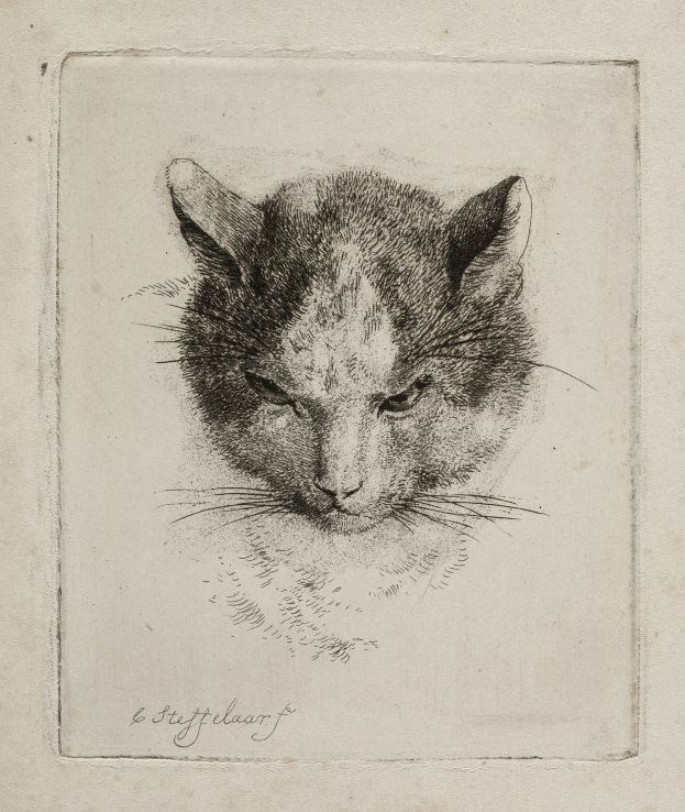 Eine schwarz-weiße realistische Zeichnung einer Katze mit großen, aufmerksamen Augen, aufgerichteten Ohren, langen Schnurrhaaren und einem eingerollten Schwanz auf Papier mit fetter Schrift.