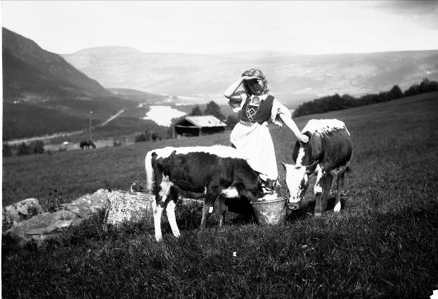 Schwarzes und weißes Foto einer Frau in traditioneller bayrischer Tracht, die zwei Kühe auf einer Wiese mit Bäumen, einem Haus, Bergen und Himmel im Hintergrund melkt.