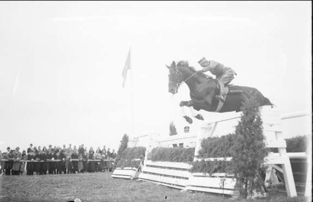 Schwarz-weiß-Foto eines Pferdes und Reiters, die über ein Hindernis springen, bei den Royal Ascot Horse Trials im Jahr 1953, mit Zuschauern und einer Flagge im Hintergrund.