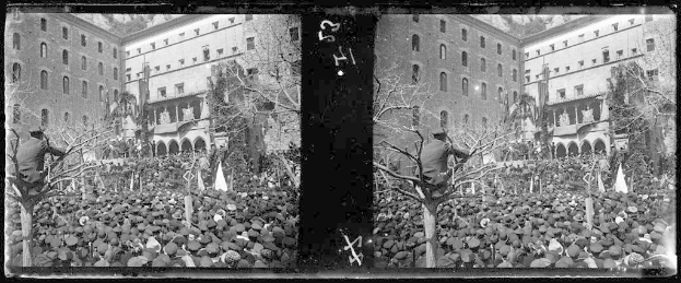 Ein Schwarz-Weiß-Foto einer großen Menschenmenge vor einem Gebäude mit Fenstern, Bäumen und Fahnen im Hintergrund, einige halten Schilder und Banner, was auf eine Demonstration in einer Stadt hindeutet.