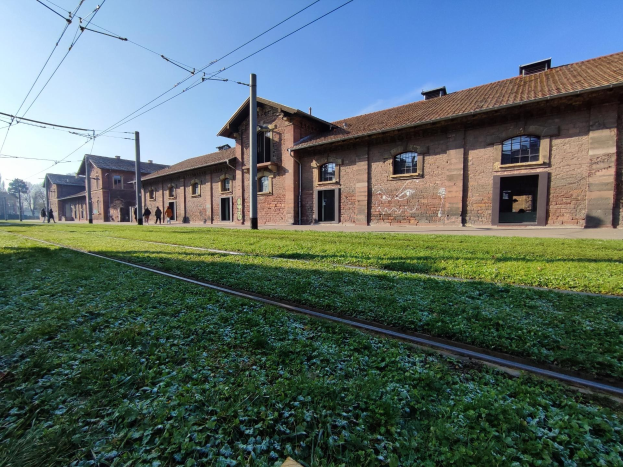 Eine Bahnstrecke verläuft durch eine grüne Wiese neben einem Backsteingebäude mit Fenstern und Türen, umgeben von Strommästen mit Kabeln, Bäumen und einigen Menschen, in der Kulisse des Konzentrationslagers Auschwitz-Birkenau in Polen.