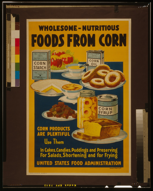 Buntes Plakat der United States Food Administration mit Abbildungen von Obst, Gemüse, Getreide und Milchprodukten und der Text "Vitaminreich-Nährstoffe aus Mais" in fetter schwarzer Schrift auf hellblauem Hintergrund.