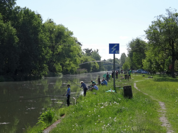 Eine Gruppe von Menschen beim Angeln an einem Flussufer, umgeben von grünem Gras, Bäumen und Fahrzeugen, mit einem Wegweiser in der Nähe und einem klaren Himmel im Hintergrund.