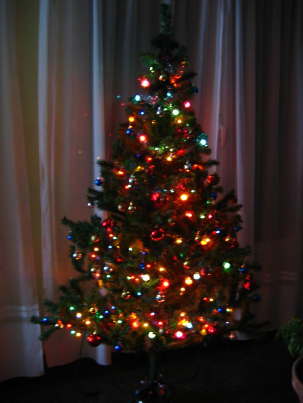 Ein Weihnachtsbaum mit Lichtern, mit einem Vorhang und einer Topfpflanze im Hintergrund.