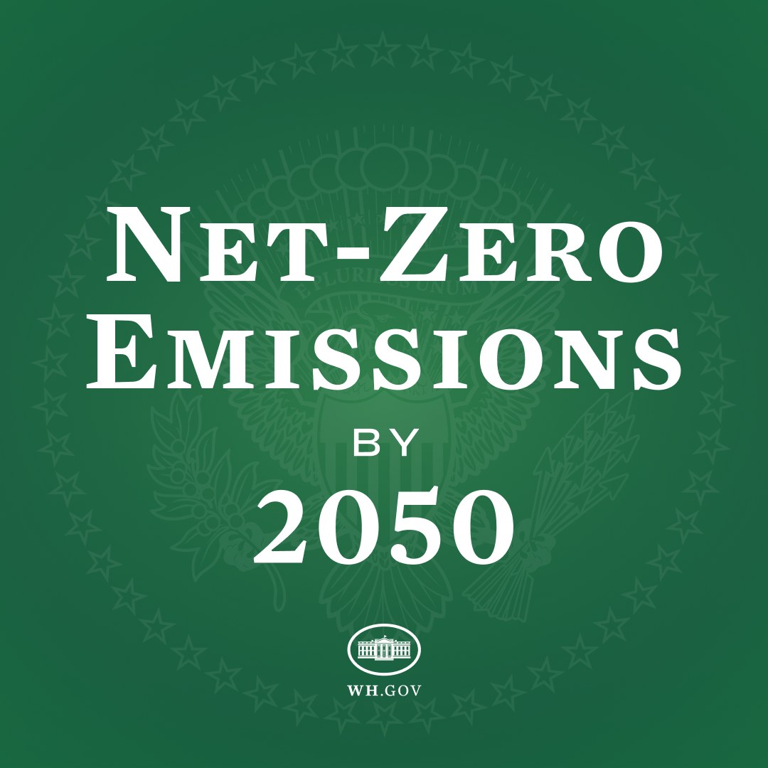 Weißer fetter Text "net-zero emissions by 2050" auf einem soliden grünen Hintergrund.